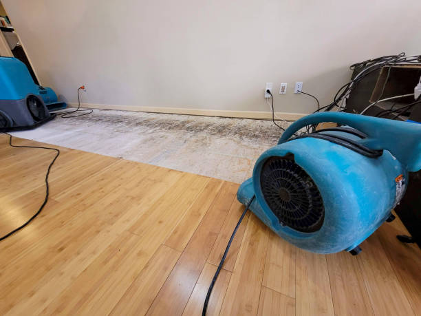 Professional Emergency Water Damage technician working in Warrenton, VA